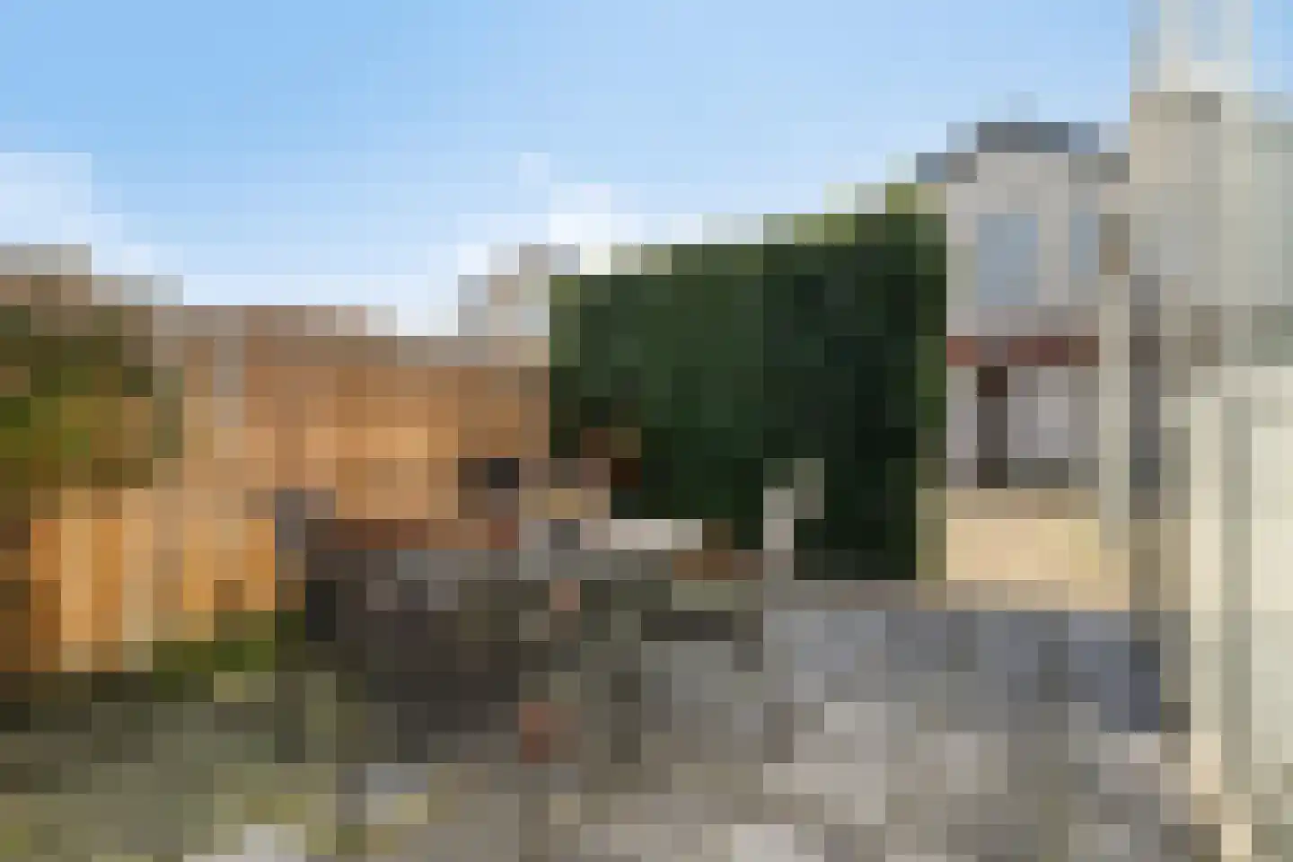 Noordeindseweg 448 Berkel en Rodenrijs thumbnail 37