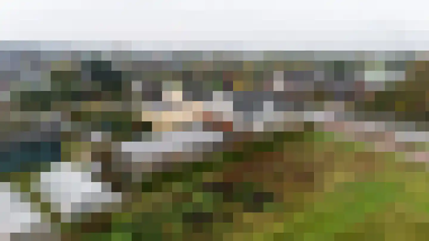 Noordeindseweg 448 Berkel en Rodenrijs thumbnail 38