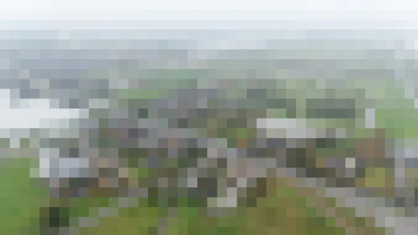 Noordeindseweg 448 Berkel en Rodenrijs thumbnail 4
