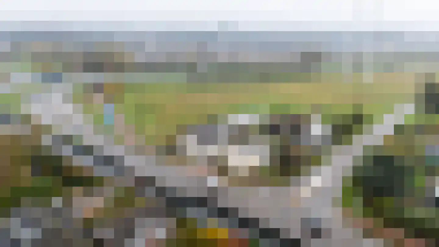Noordeindseweg 448 Berkel en Rodenrijs thumbnail 41
