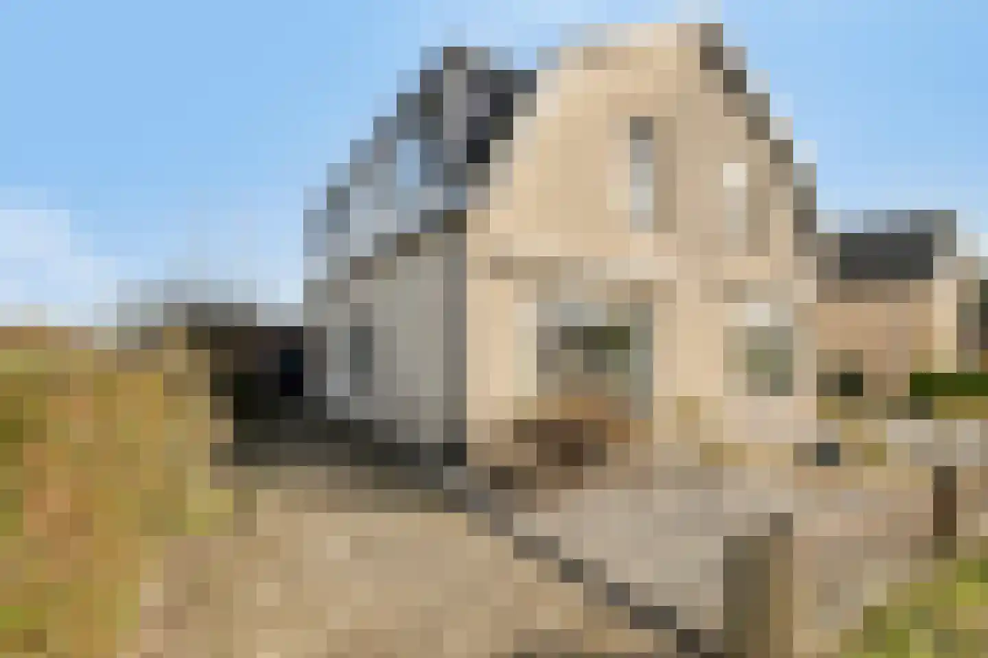 Noordeindseweg 448 Berkel en Rodenrijs thumbnail 5