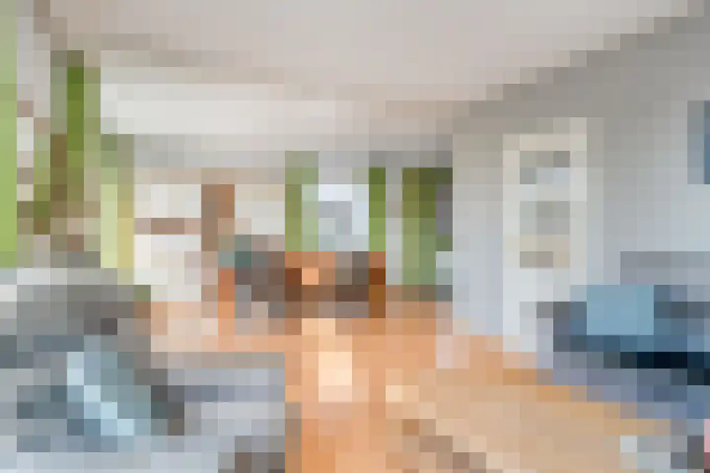 Noordeindseweg 448 Berkel en Rodenrijs thumbnail 8
