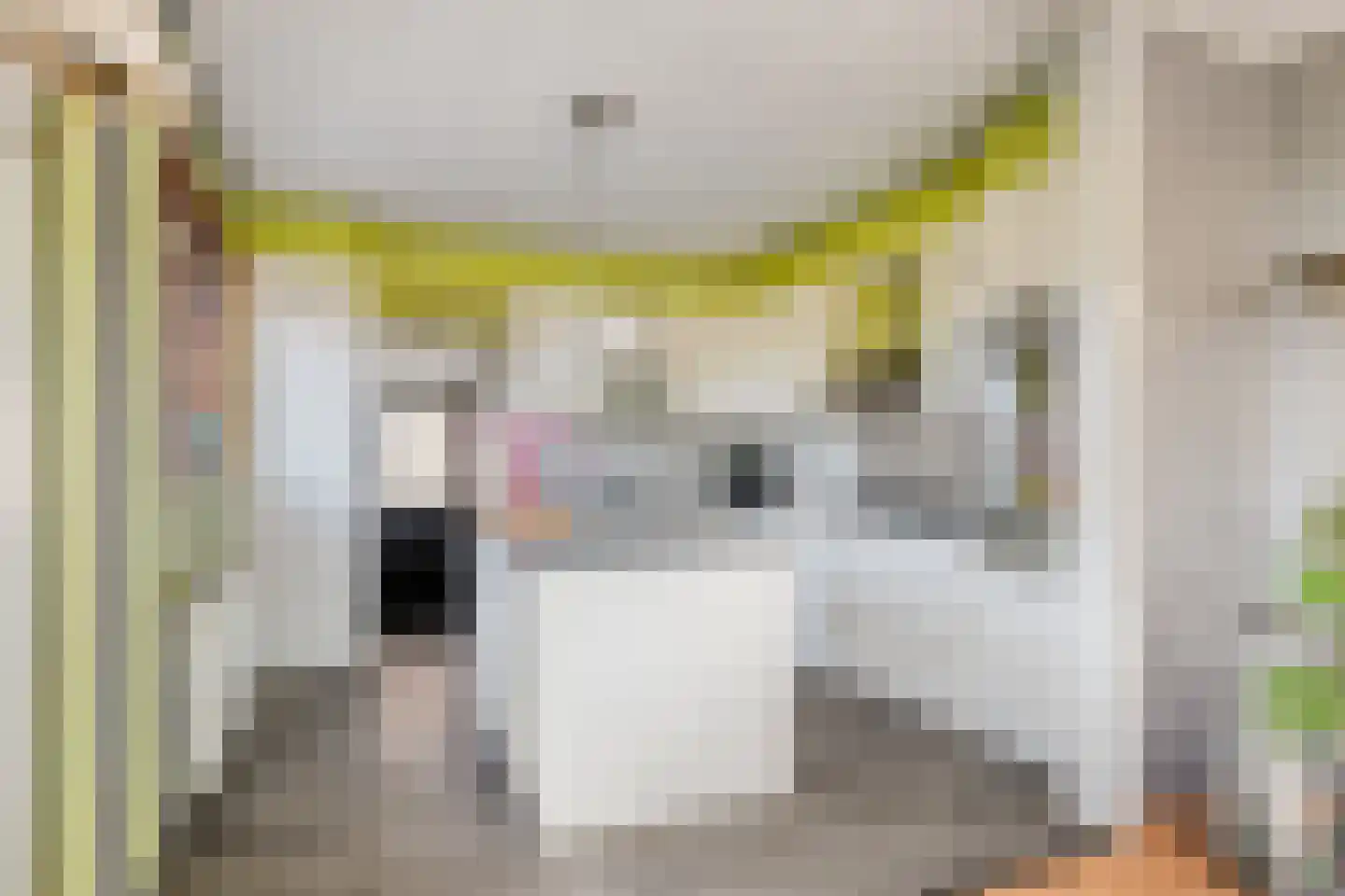 Noordeindseweg 448 Berkel en Rodenrijs thumbnail 9