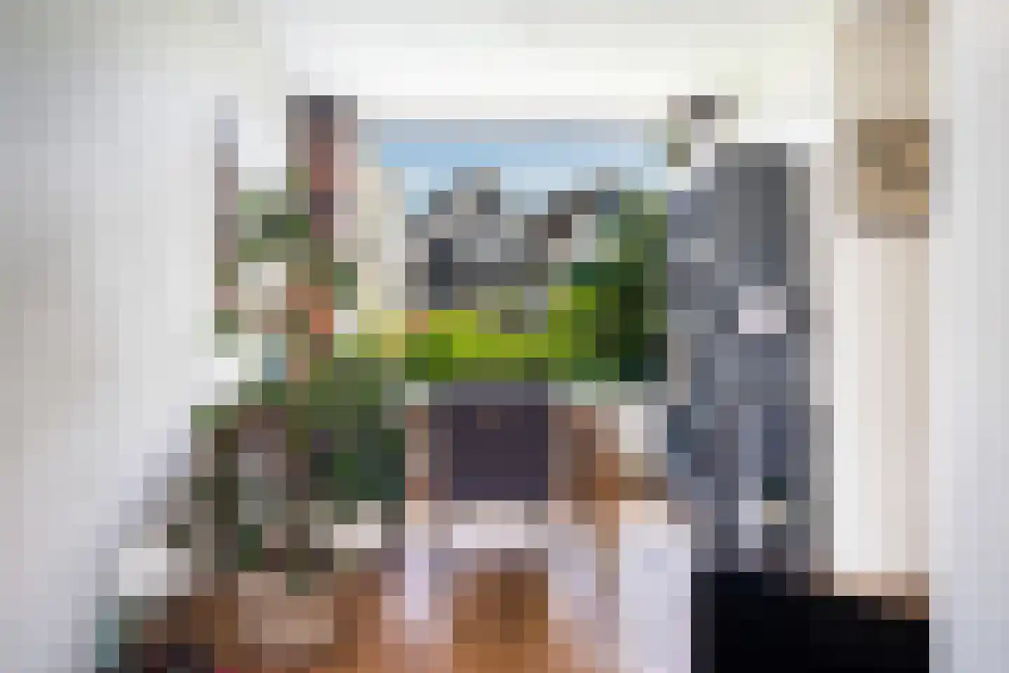 Noordeindseweg 74 Berkel en Rodenrijs thumbnail 17