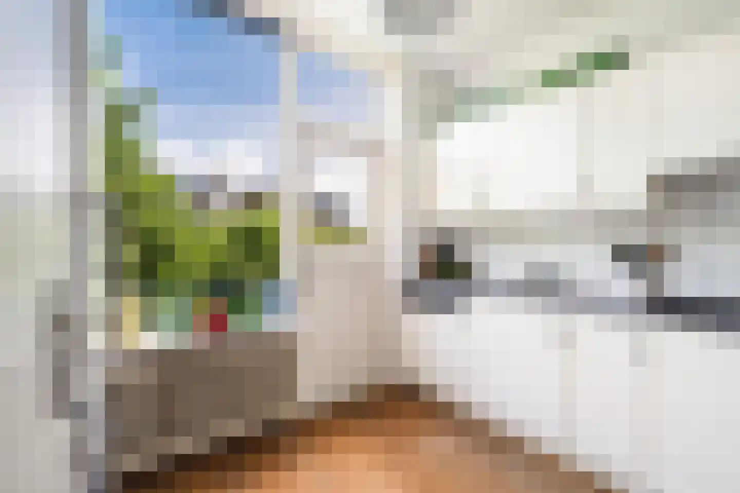 Noordeindseweg 74 Berkel en Rodenrijs thumbnail 22