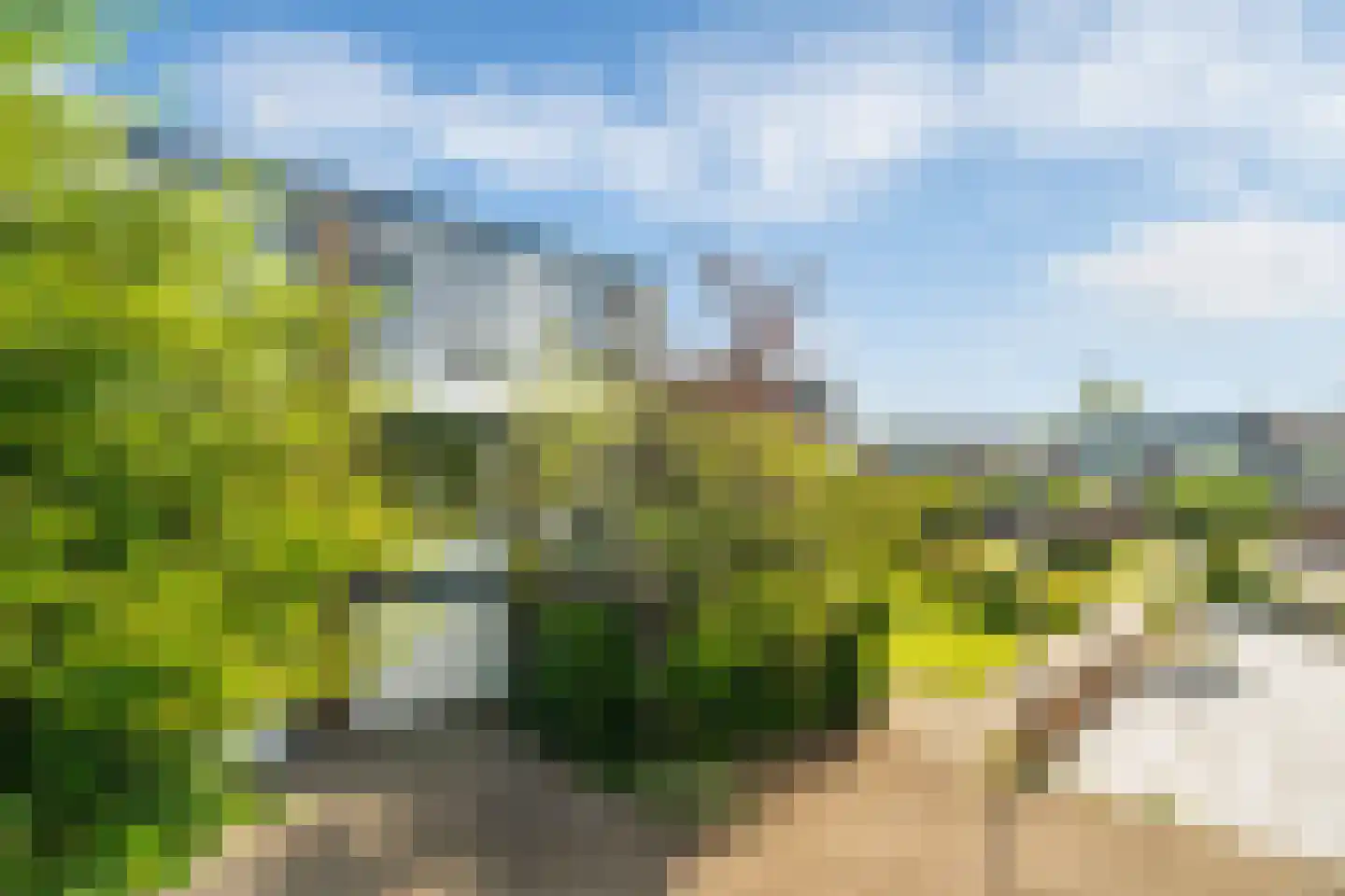 Noordeindseweg 74 Berkel en Rodenrijs thumbnail 5