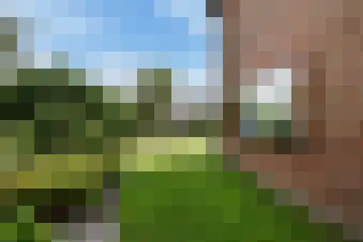 Noordeindseweg 9 d Berkel en Rodenrijs thumbnail 12