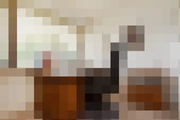 Noordeindseweg 9 d Berkel en Rodenrijs thumbnail 20