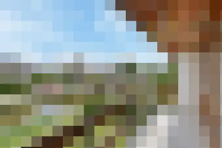 Noordeindseweg 9 d Berkel en Rodenrijs thumbnail 22