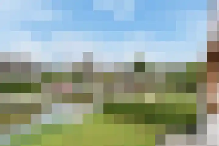 Noordeindseweg 9 d Berkel en Rodenrijs thumbnail 23