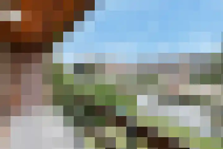 Noordeindseweg 9 d Berkel en Rodenrijs thumbnail 24
