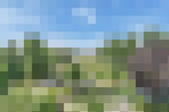 Noordeindseweg 9 d Berkel en Rodenrijs thumbnail 33