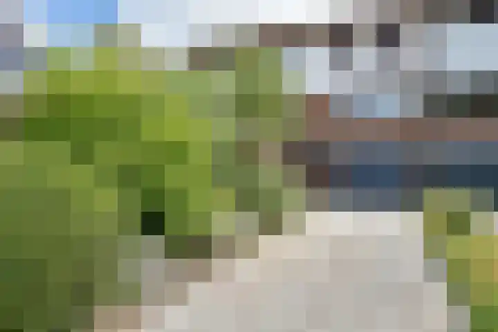 Noordeindseweg 9 d Berkel en Rodenrijs thumbnail 38