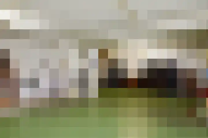 Noordeindseweg 9 d Berkel en Rodenrijs thumbnail 40