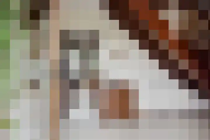 Noordeindseweg 9 d Berkel en Rodenrijs thumbnail 8