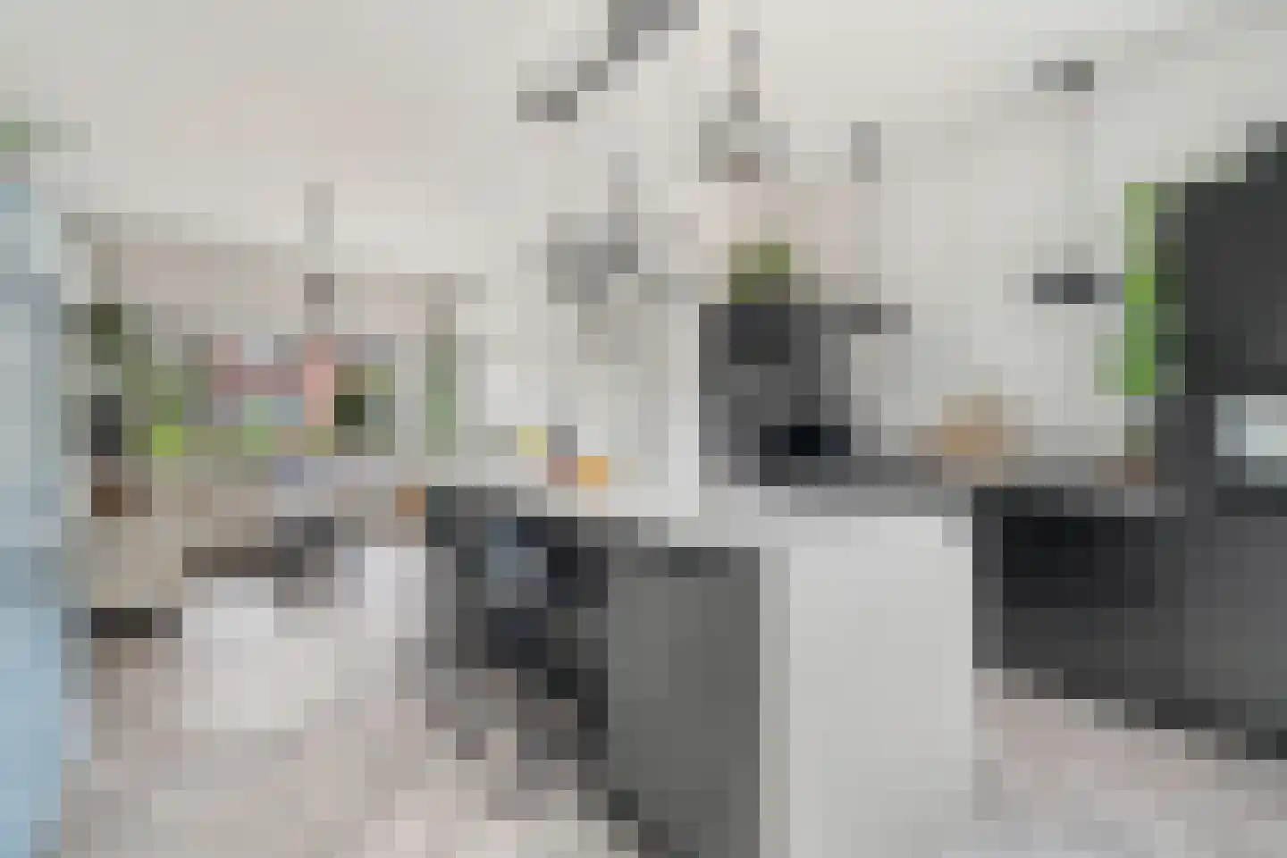 Noordeindseweg 9 Delfgauw thumbnail 10