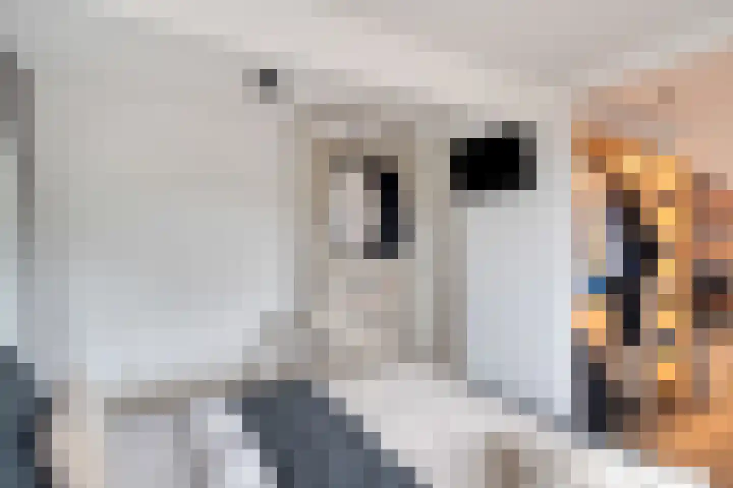 Noordeindseweg 9 Delfgauw thumbnail 15
