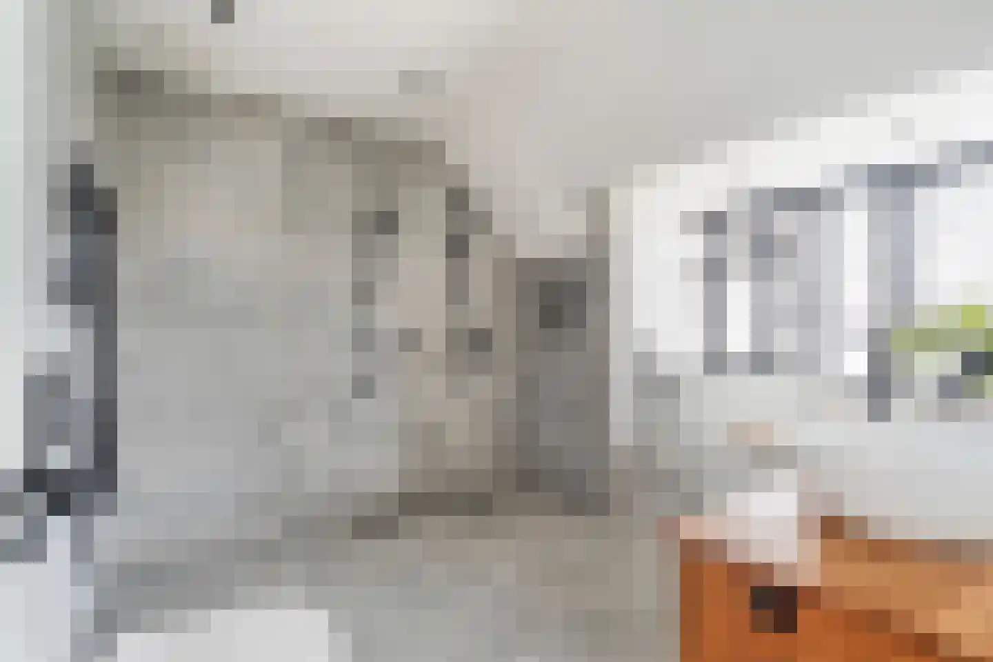 Noordeindseweg 9 Delfgauw thumbnail 18