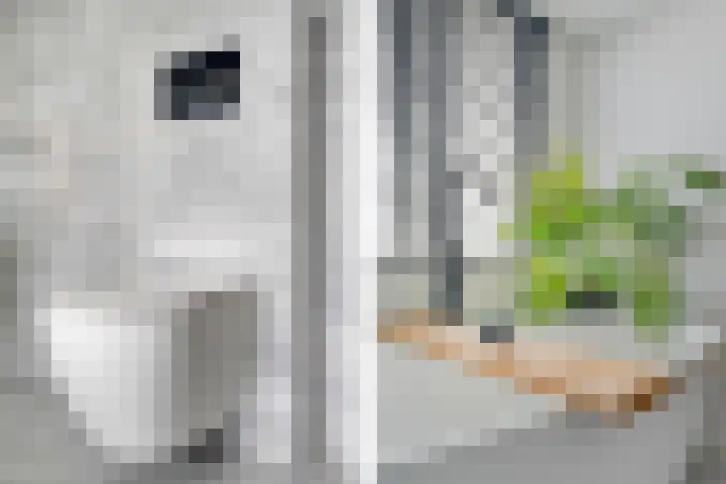 Noordeindseweg 9 Delfgauw thumbnail 20