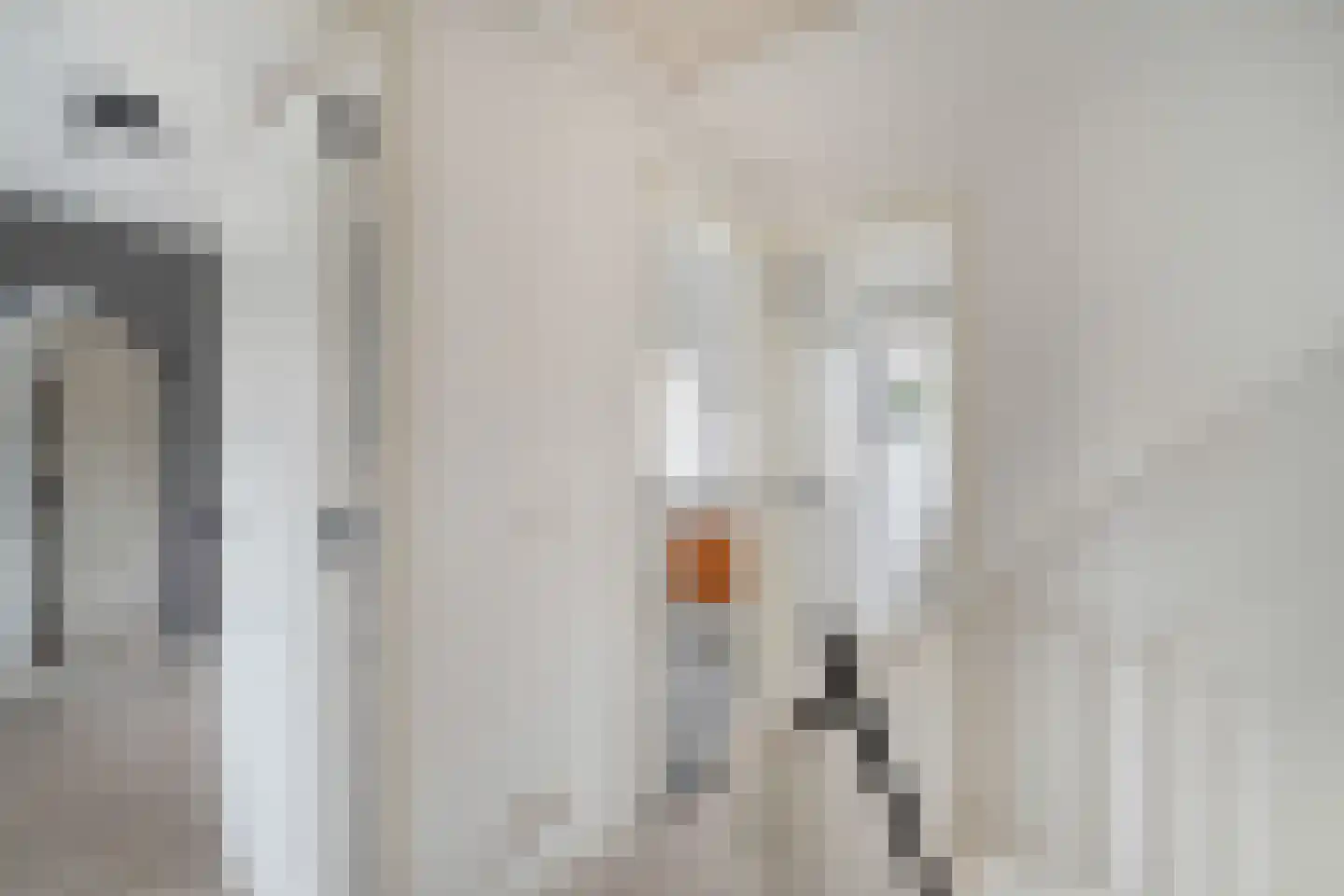 Noordeindseweg 9 Delfgauw thumbnail 21