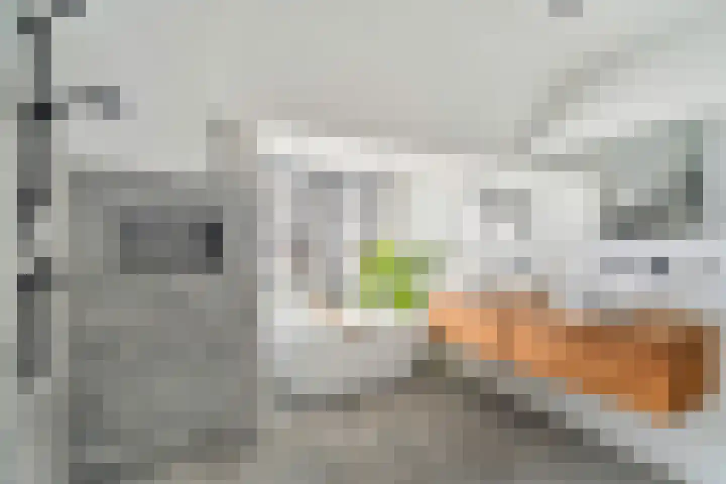 Noordeindseweg 9 Delfgauw thumbnail 4