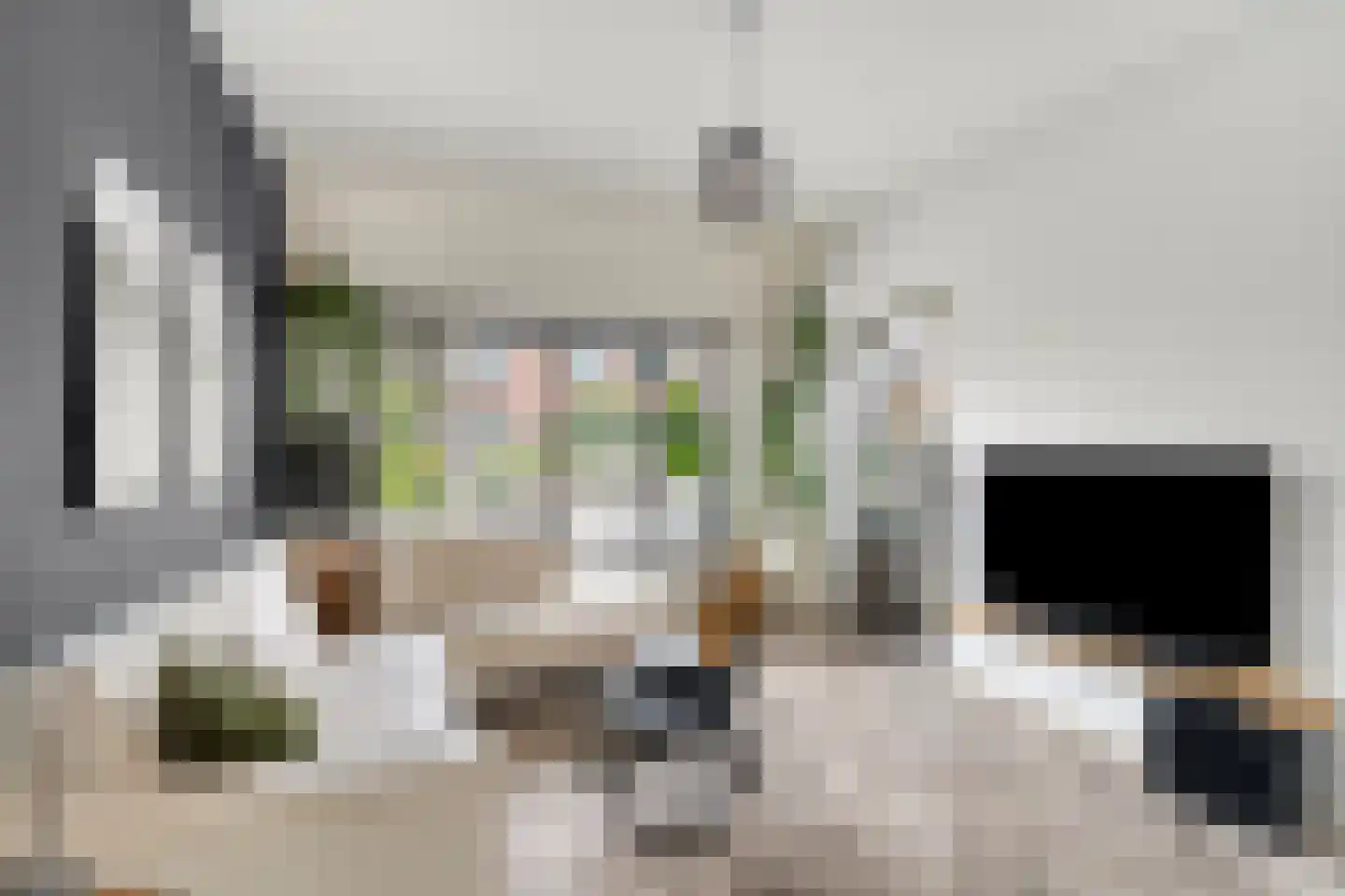 Noordeindseweg 9 Delfgauw thumbnail 6