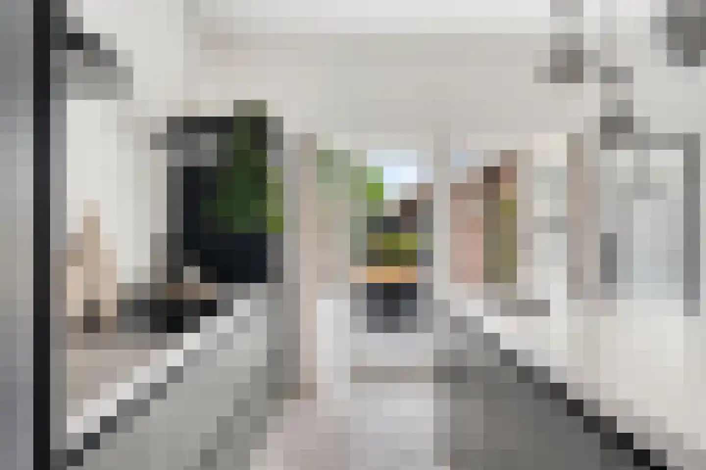 Noordeindseweg 9 Delfgauw thumbnail 8
