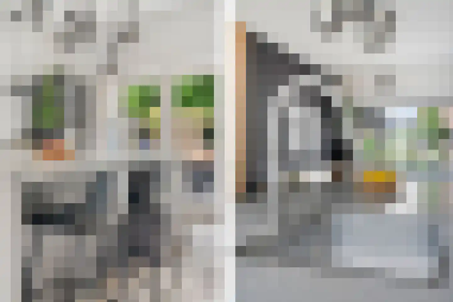 Noordeindseweg 9 Delfgauw thumbnail 9