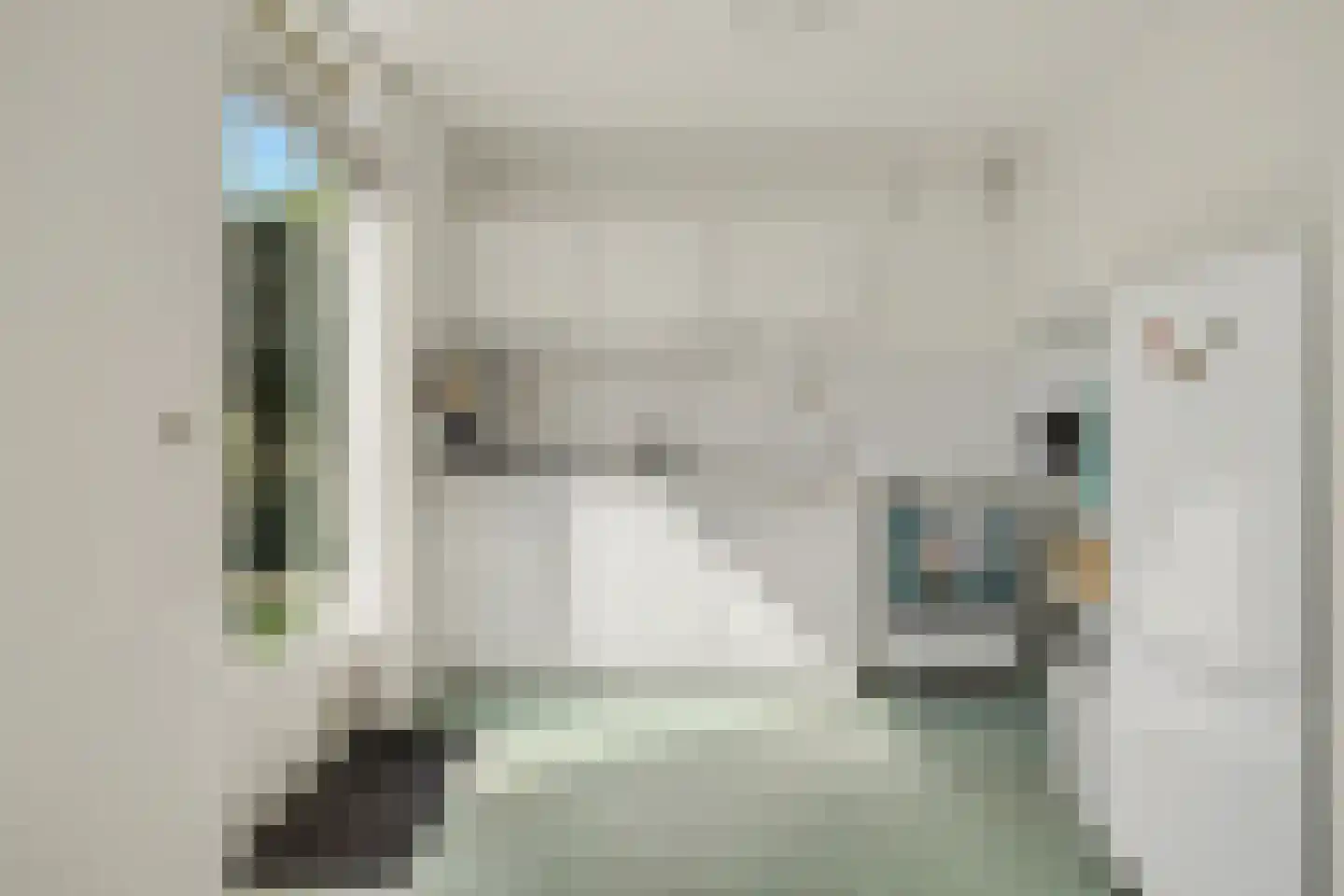 Noordeindstraat 17 Wissenkerke thumbnail 11