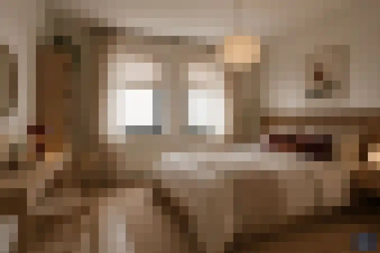 Noordeindstraat 17 Wissenkerke thumbnail 13