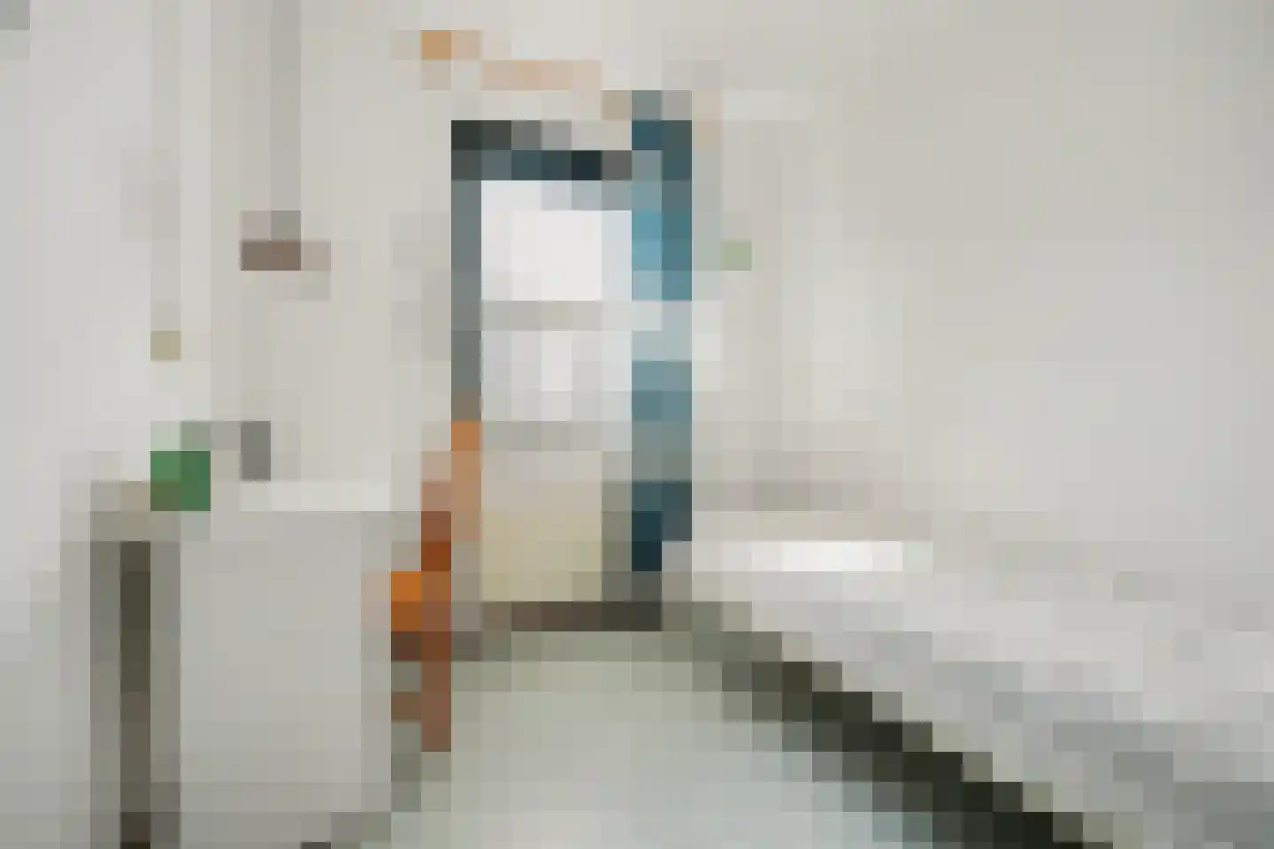 Noordeindstraat 17 Wissenkerke thumbnail 14