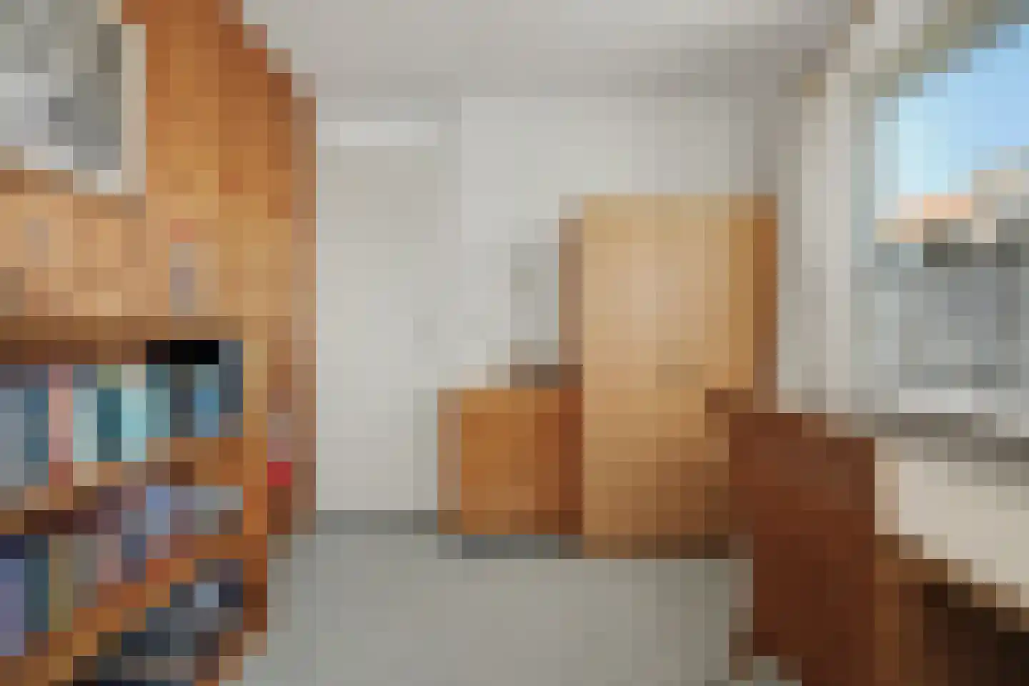 Noordeindstraat 17 Wissenkerke thumbnail 15