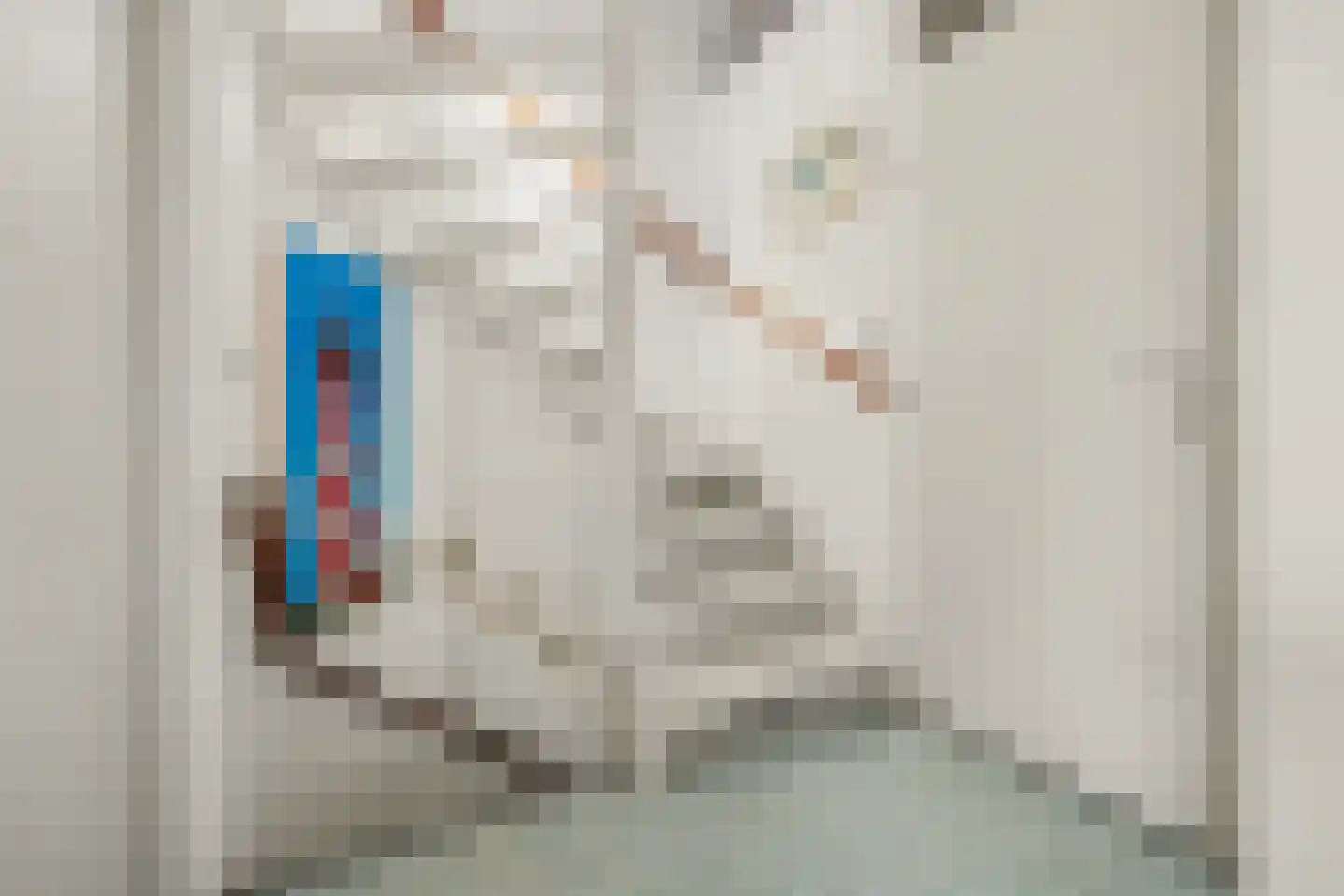 Noordeindstraat 17 Wissenkerke thumbnail 18
