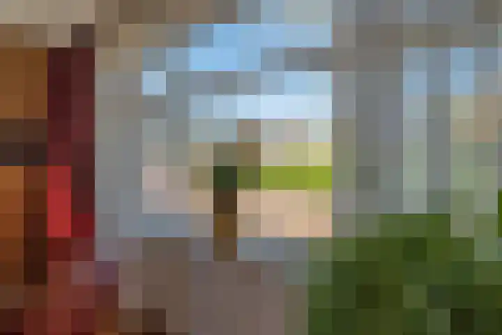 Noordeindstraat 35 Wissenkerke thumbnail 11