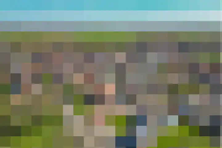 Noordeindstraat 35 Wissenkerke thumbnail 5