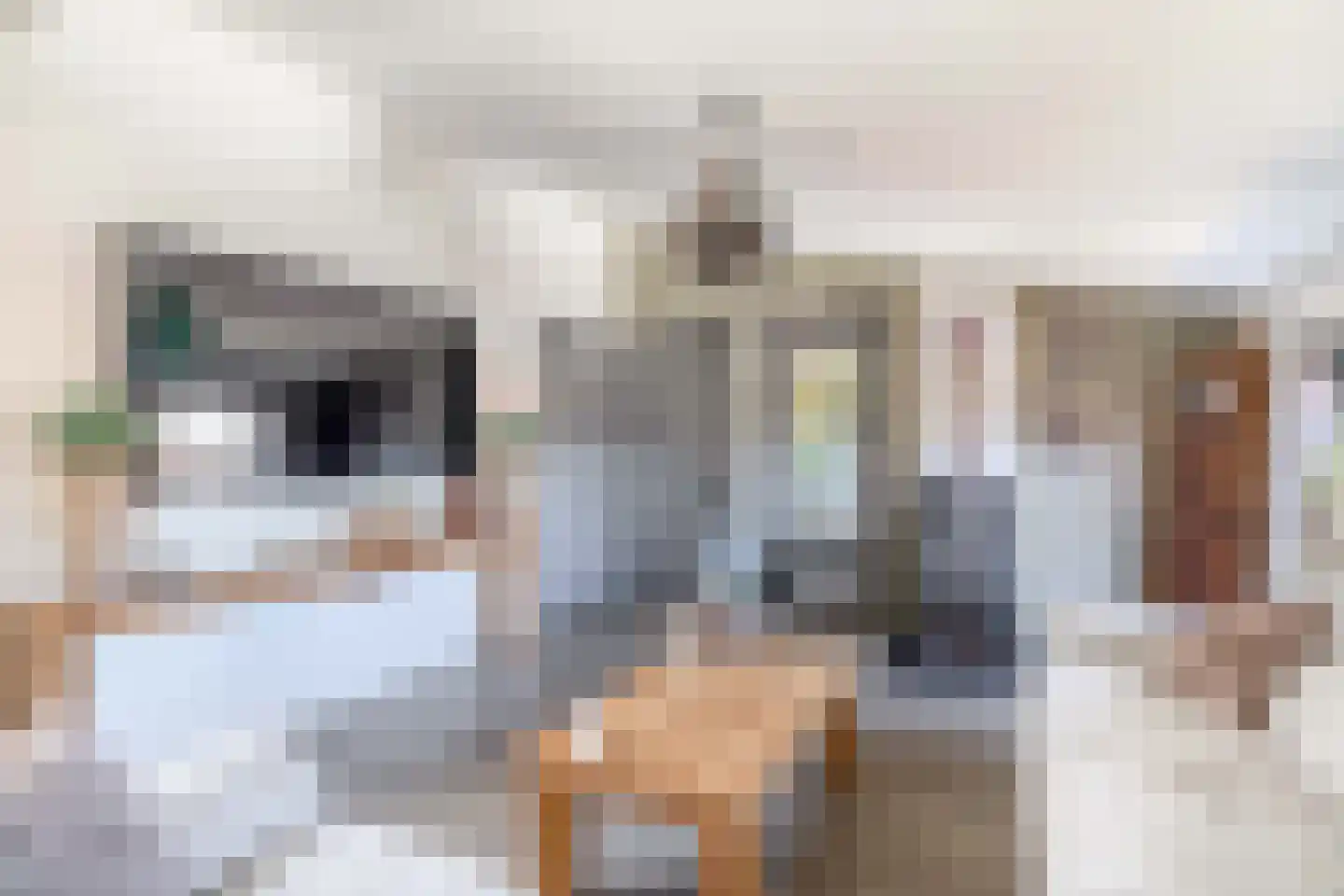 Noordelijke Achterweg 12 Nieuwe-Tonge thumbnail 10