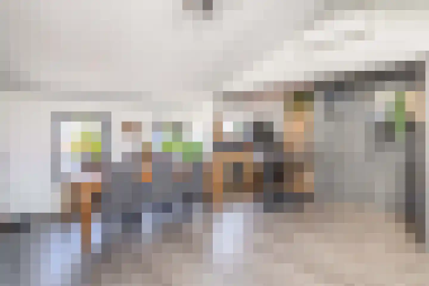 Noordelijke Achterweg 12 Nieuwe-Tonge thumbnail 11