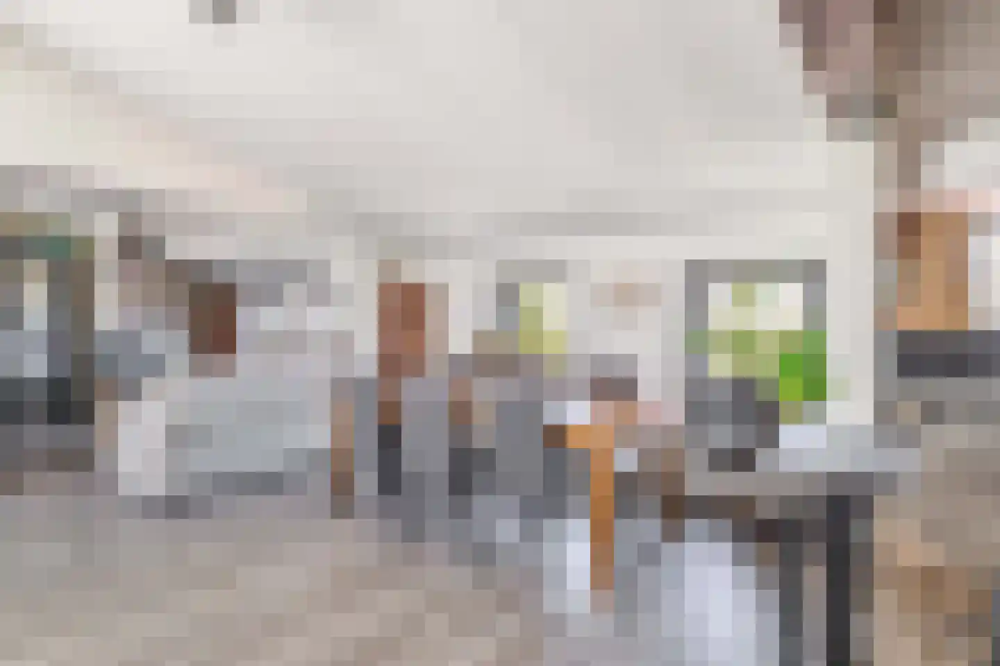 Noordelijke Achterweg 12 Nieuwe-Tonge thumbnail 12