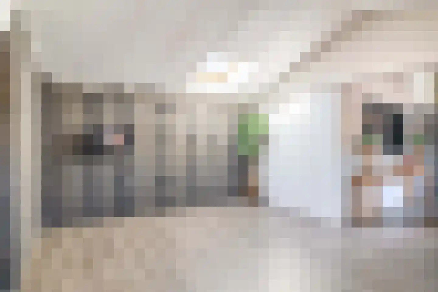 Noordelijke Achterweg 12 Nieuwe-Tonge thumbnail 14