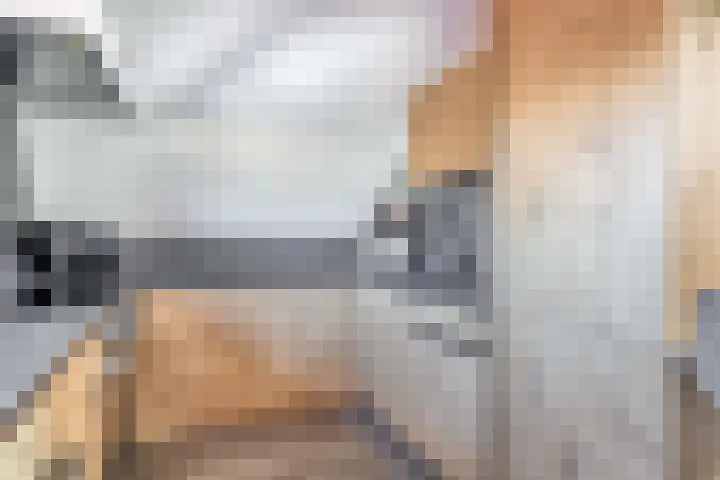 Noordelijke Achterweg 12 Nieuwe-Tonge thumbnail 15
