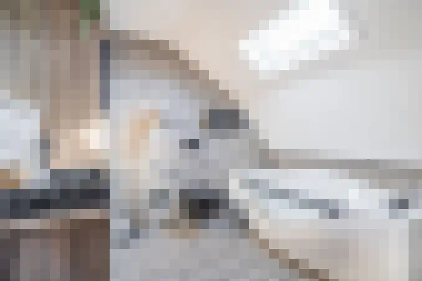 Noordelijke Achterweg 12 Nieuwe-Tonge thumbnail 18