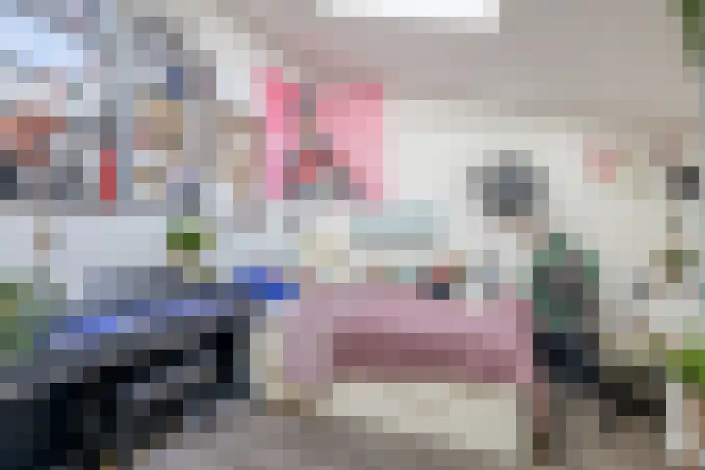 Noordelijke Achterweg 12 Nieuwe-Tonge thumbnail 22