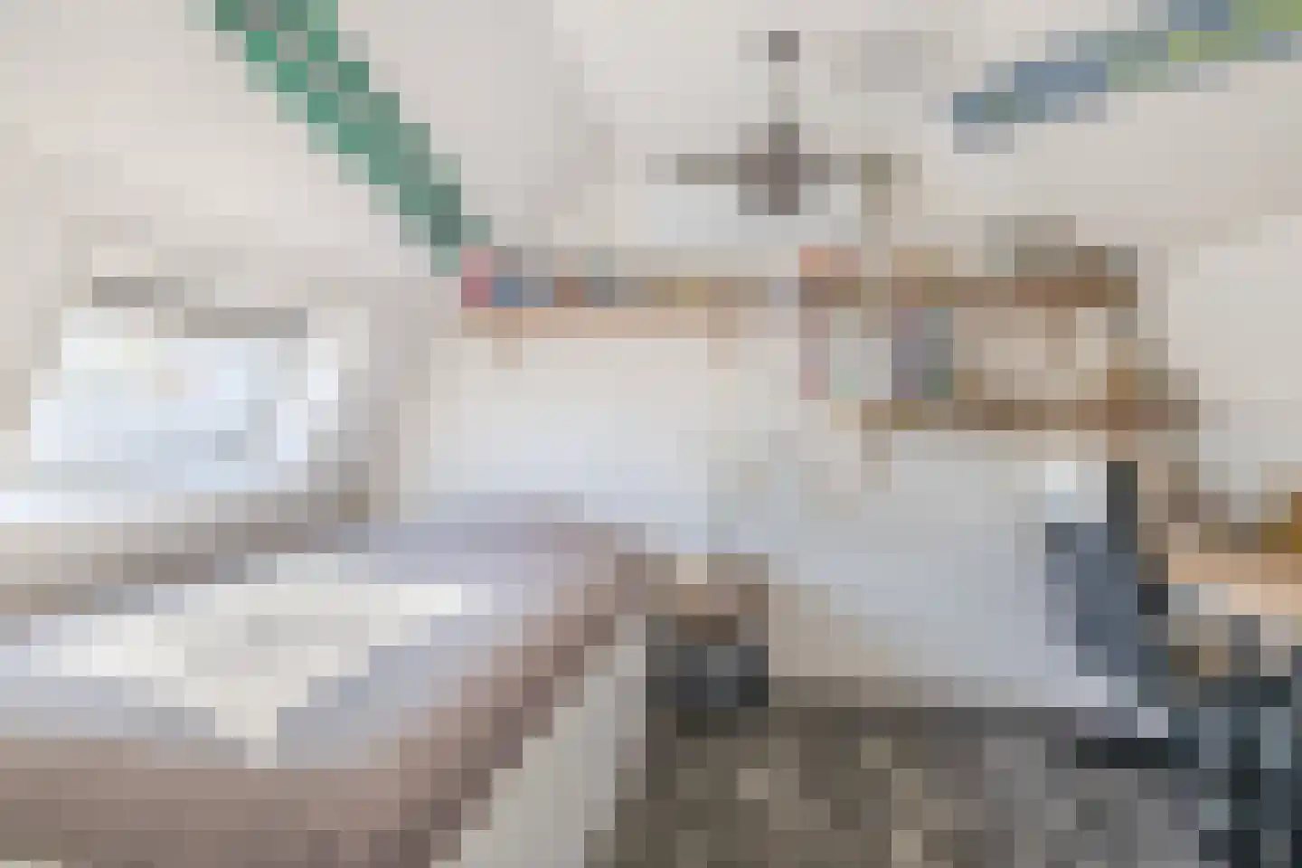 Noordelijke Achterweg 12 Nieuwe-Tonge thumbnail 24