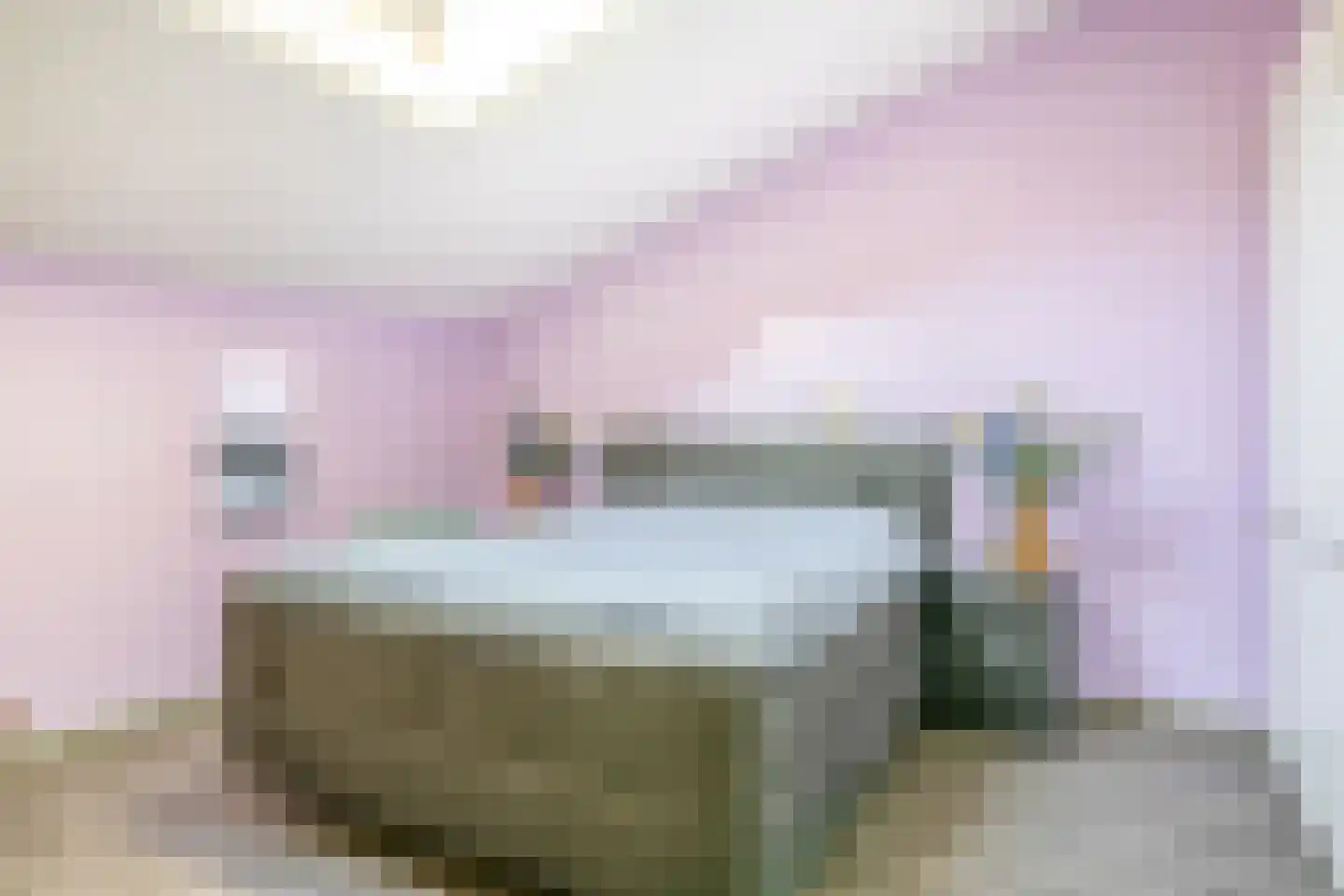 Noordelijke Achterweg 12 Nieuwe-Tonge thumbnail 27