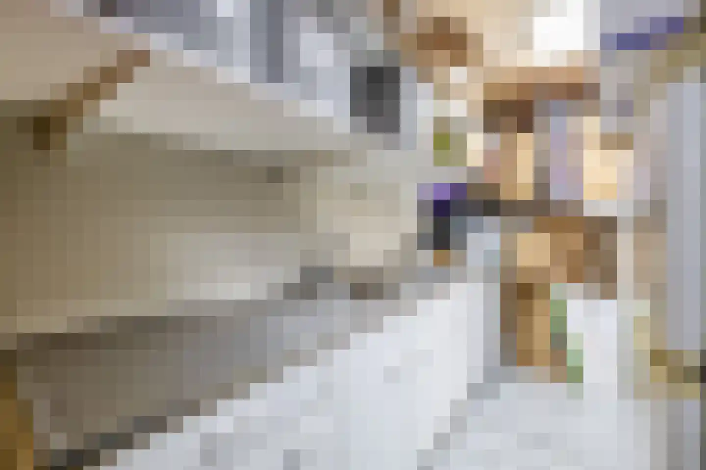 Noordelijke Achterweg 12 Nieuwe-Tonge thumbnail 28