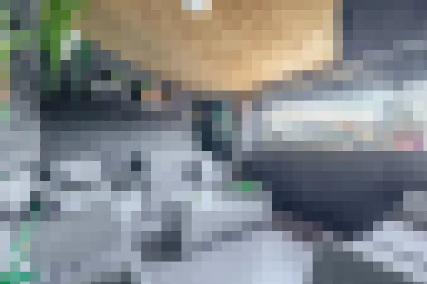 Noordelijke Achterweg 12 Nieuwe-Tonge thumbnail 4