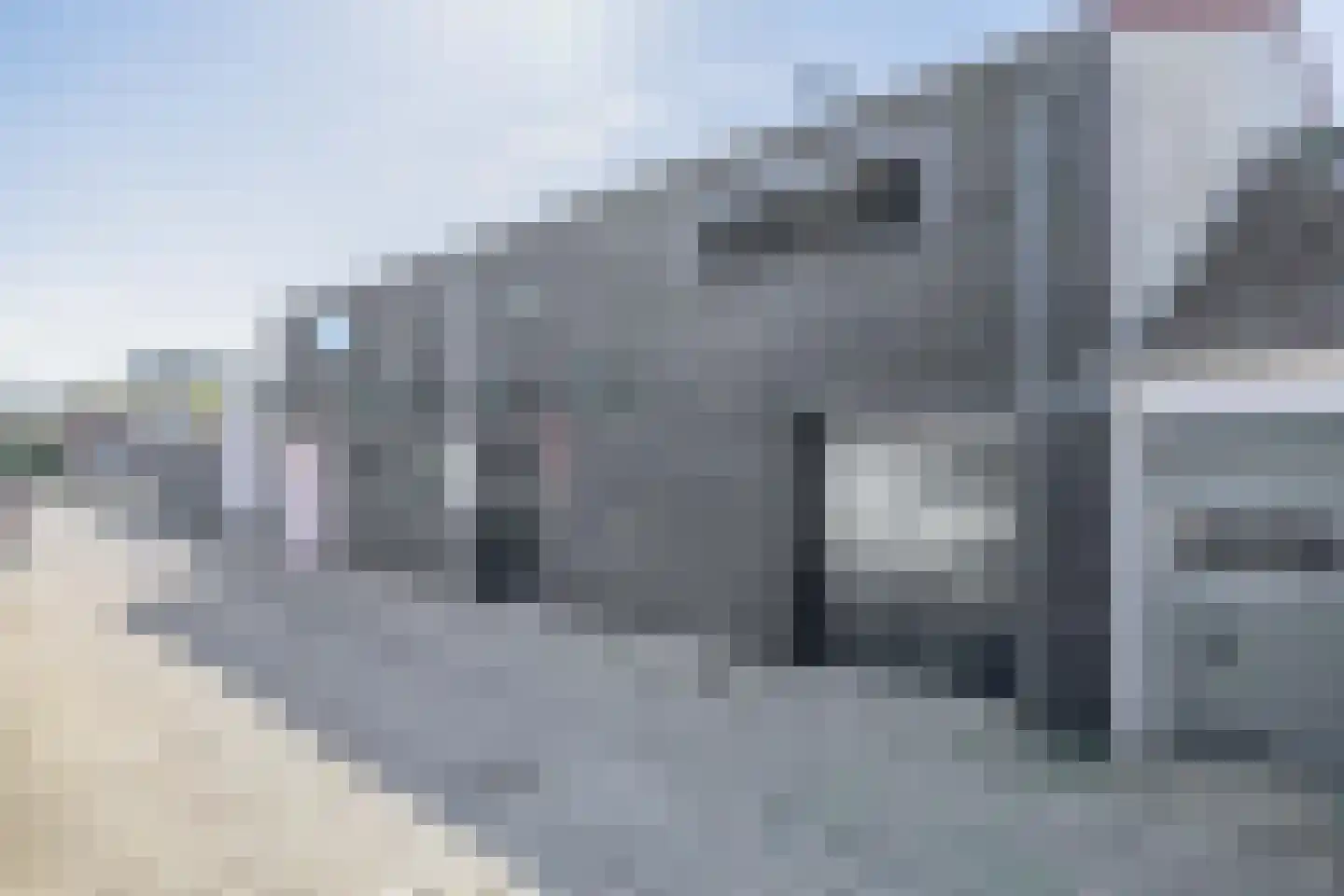 Noordelijke Achterweg 12 Nieuwe-Tonge thumbnail 5