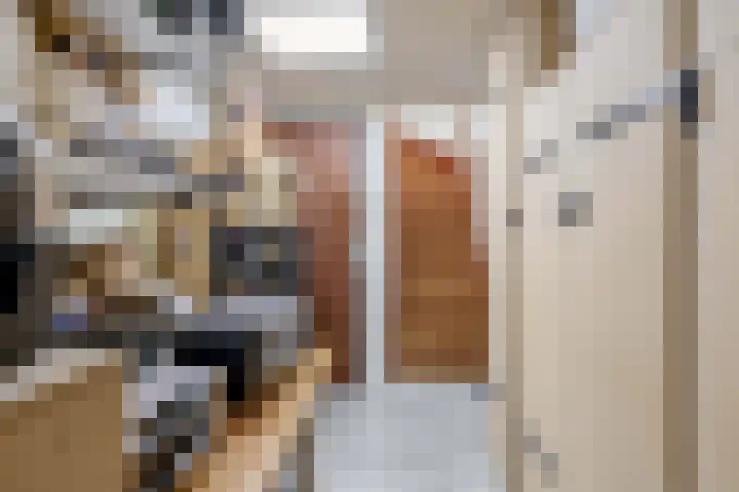 Noordelijke Achterweg 12 Nieuwe-Tonge thumbnail 8