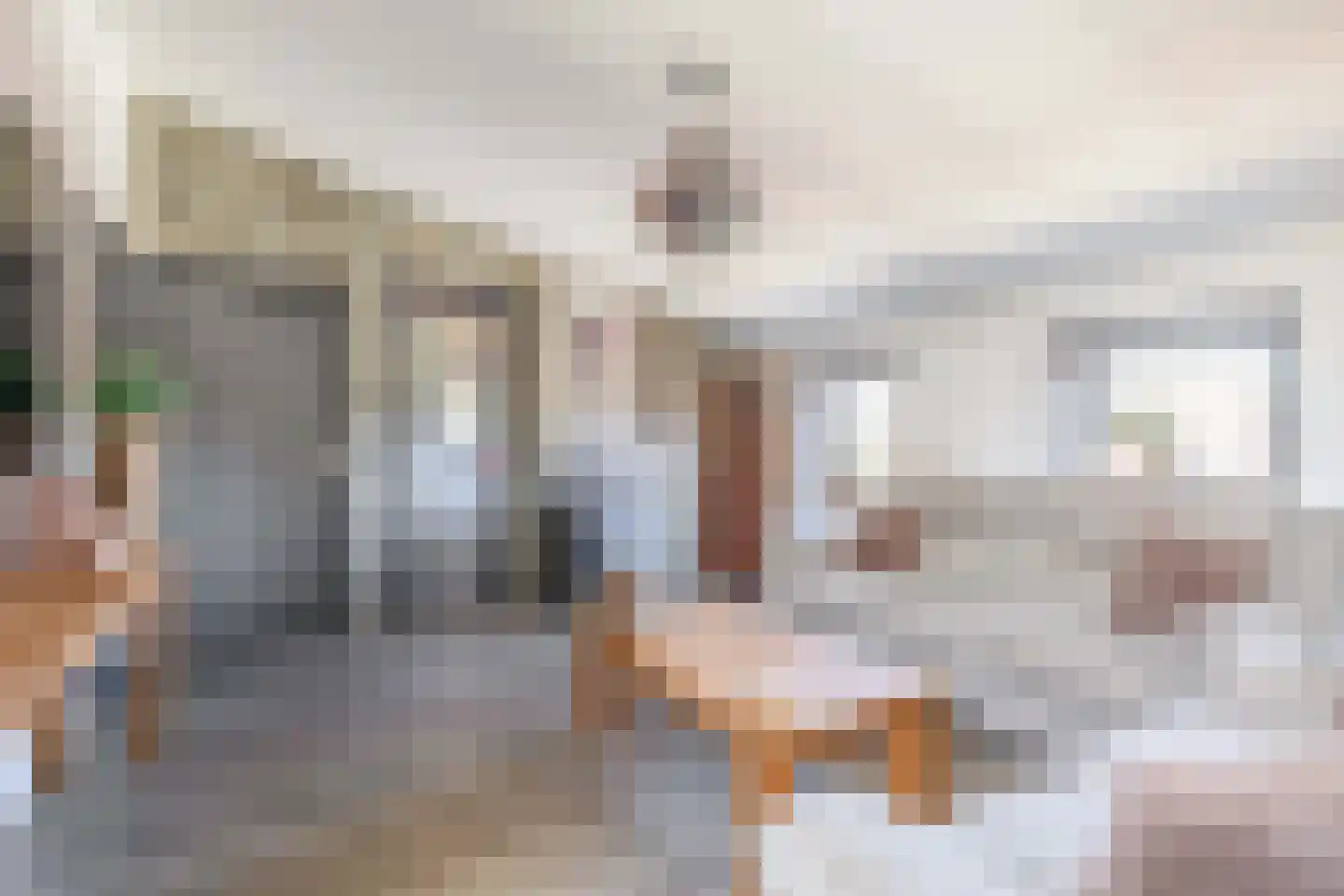Noordelijke Achterweg 12 Nieuwe-Tonge thumbnail 9