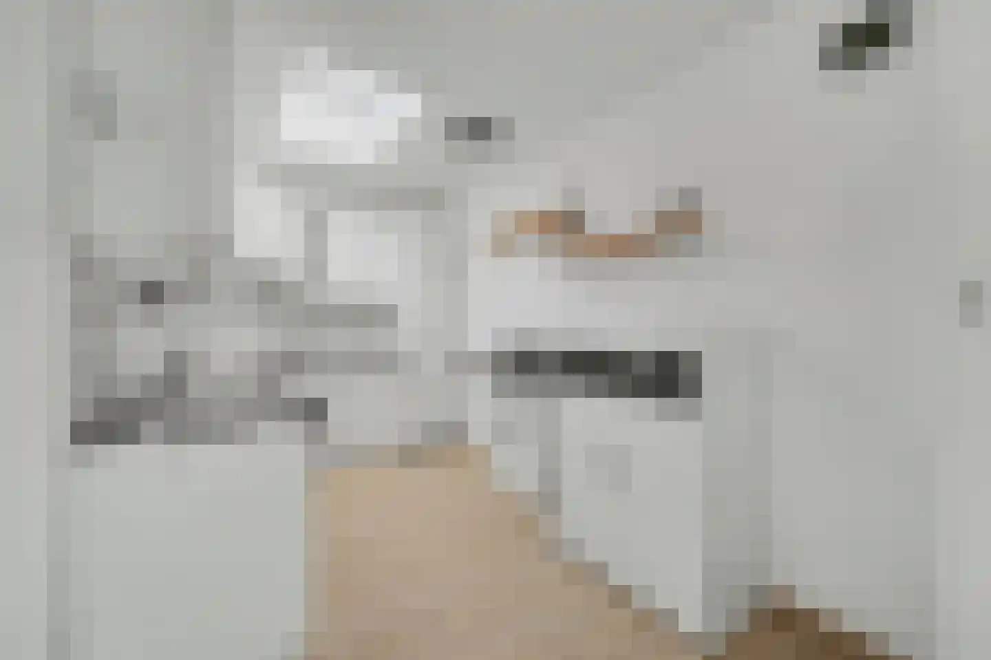 Noordelijke Achterweg 15 Wemeldinge thumbnail 12